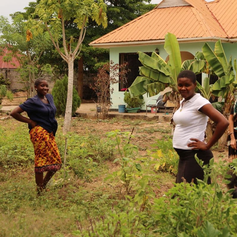 <h3 style="text-align: center;"><span style="color: #6e593b;">Horticulture</span></h3>
<p style="text-align: center;">Organic gardening is particularly important to us, as unfortunately chemical pesticides are often used in Tanzania to combat pests. We strive to grow and consume our own healthy vegetables. We also want to show the women in the area how they can grow a garden without the use of pesticides.</p>